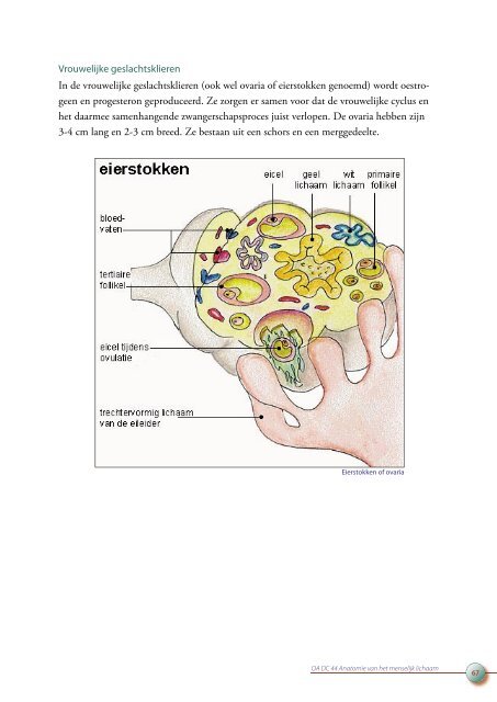 OA DC 44 Anatomie van het menselijk lichaam - Profi-leren