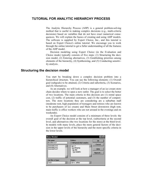 Tutorial for creating an Expert Choice model