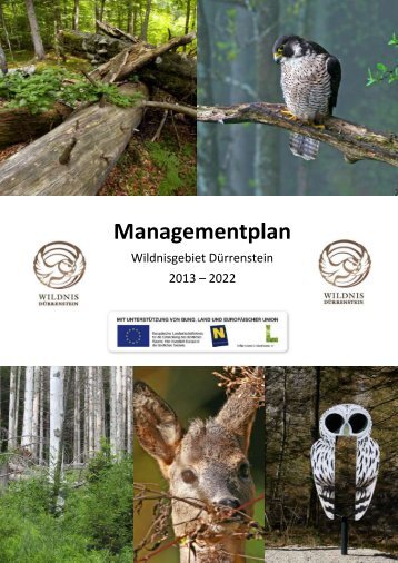 Download Managementplan - wildnisgebiet.at