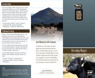 Breeding Wagyu (pdf) - The Lone Mountain Cattle Company