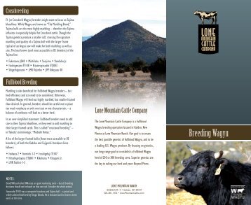 Breeding Wagyu (pdf) - The Lone Mountain Cattle Company