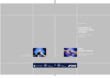 Rapport Kapabiliteter og scenarier Mack 2.pdf - P2005 - NTNU
