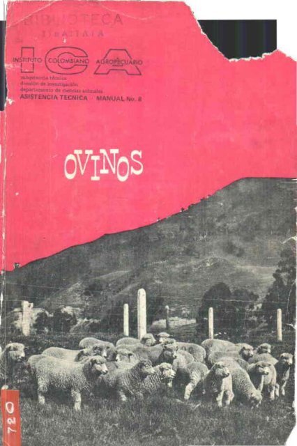 Tratamiento de puestos de tierra de corderos para gusanos parásitos Tratamiento de puestos de tierra de corderos para gusanos parásitos