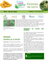 BSV pomme de terre nÂ°15 du 5 juin 2012.pdf - DRAAF Nord-Pas-de ...