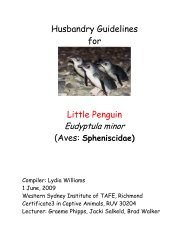 Husbandry Guidelines for Little Penguin - Nswfmpa.org