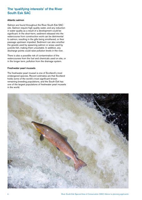 River South Esk Special Area of Conservation (SAC) - The Food and ...