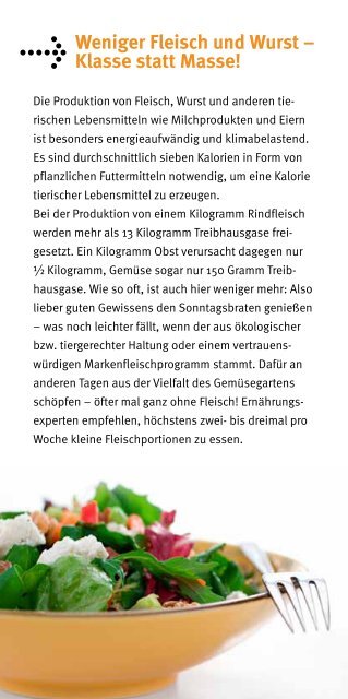 Flyer "Klimaschutz schmeckt" - verbraucherfuersklima.de