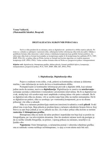 Digitization of Graphic Data
