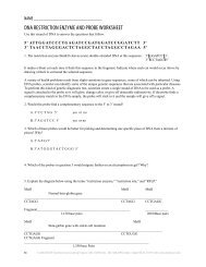 DNA Restriction Enzyme and Probe Worksheet (pdf file) - Morehead ...