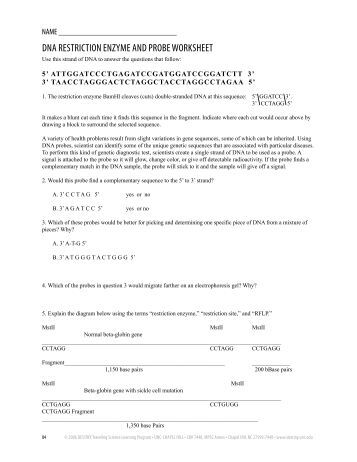 name restrictions worksheet Ratchasima Enzyme Worksheets. Worksheet. Restriction
