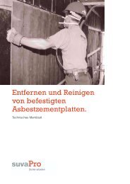 Entfernen und Reinigen von befestigten Asbestzementplatten.