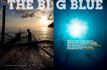 The Big Blue - Dragonfly Media