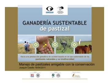 Manejo de pastizales amigable con la conservaciÃ³n - Aves Argentinas