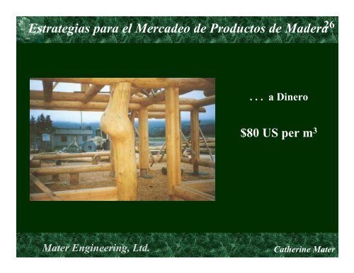 Estrategias para el Mercadeo de Productos de Madera