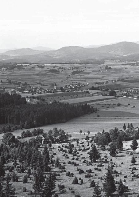 Das Waldlerhaus - Bernd Sibler