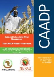 The CAADP Pillar I Framework