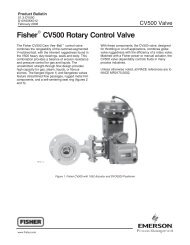 Fisher CV500 Rotary Control Valve