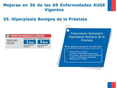 Ges 80 (nuevos patologias) Seremi Salud.