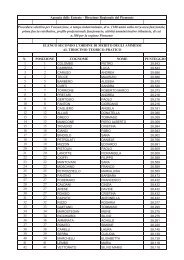 Elenco ammessi secondo l'ordine di merito - Direzione regionale ...