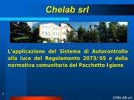 CHELAB srl