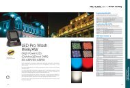 LED Pro Wash RGB/AW - Wiedamark