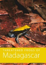 THREATENED FROGS OF Madagascar - UniversitÃ  degli Studi di ...