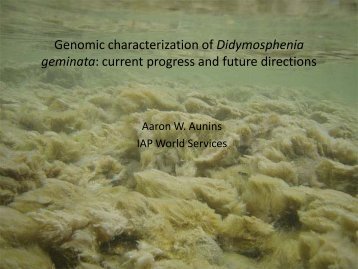 Genomic characterization of Didymosphenia geminata: current ...