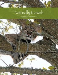 Naturally Kiawah - Kiawah Conservancy