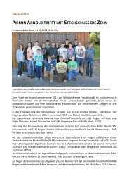 Bericht-Schwabo-JSR-2013-Abschluss.pdf