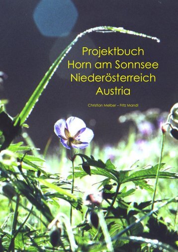 Projektbuch Horn am Sonnsee - UTC Horn