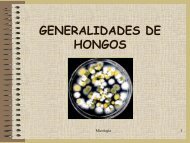 Generalidades de hongos