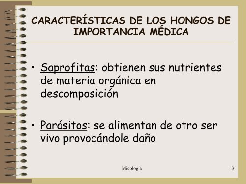 Generalidades de hongos