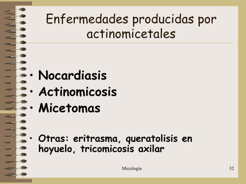 Generalidades de hongos