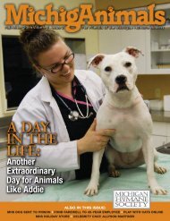 MichigAnimals - 2011 - Fall - Volume 5 Issue 2 (.pdf 7MB)