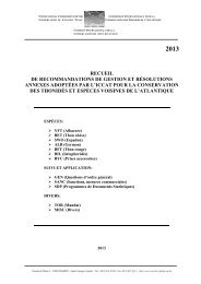 2013 recueil de recommandations de gestion et rÃ©solutions ... - Iccat