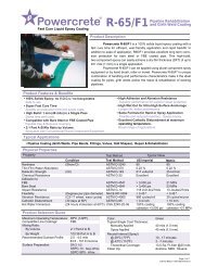 DS-PC-R65-F1-REV6-Feb10 page 1 - Raychem RPG