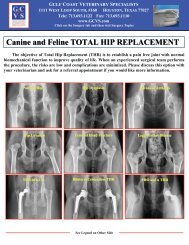 Canine and Feline TOTAL HIP REPLACEMENT - Gulf Coast ...