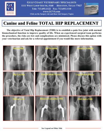 Canine and Feline TOTAL HIP REPLACEMENT - Gulf Coast ...