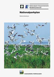 Nationalparkplan - Nationalpark Vorpommersche Boddenlandschaft