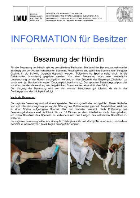 Besamung der HÃ¼ndin - Chirurgische und gynÃ¤kologische ...