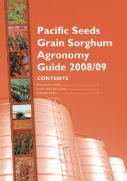 Pacific Seeds Grain Sorghum agronomy Guide ... - Directrouter.com