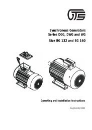 Synchronous Generators BG 132 and BG 160 - gts generator ...
