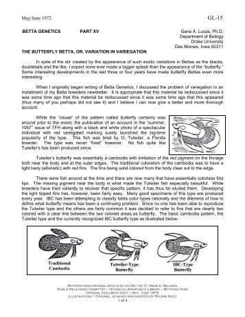 GL-15: Betta Genetics Part XV