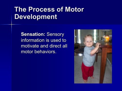 Developmentally Appropriate Orientation and Mobility - Mount Sinai ...