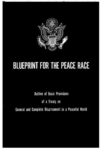 Blueprint for the Peace Race - Second Amendment Committee