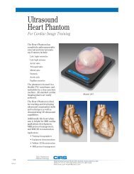 Ultrasound Heart Phantom 067 - PI Medical