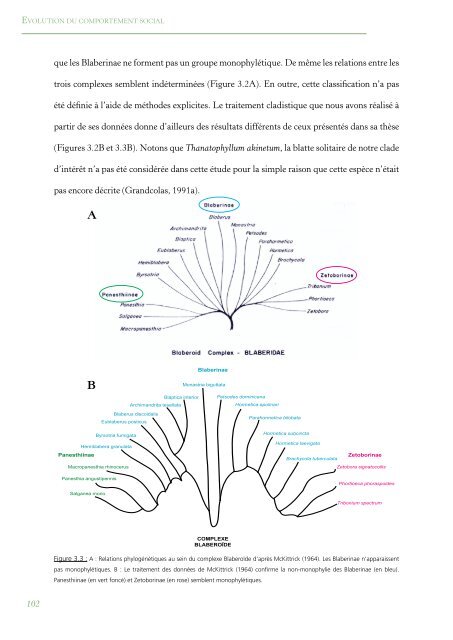 PhylogÃ©nie Et Evolution Du Comportement Social Chez Les Blattes ...