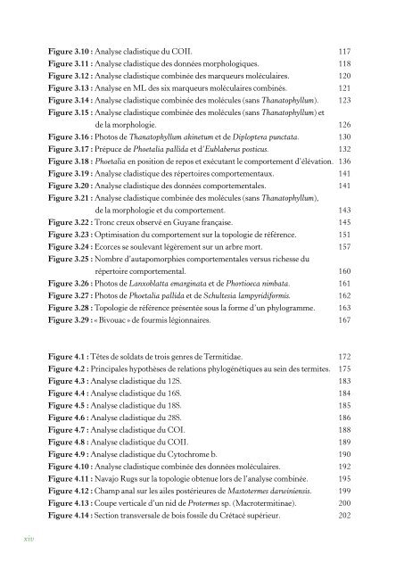 PhylogÃ©nie Et Evolution Du Comportement Social Chez Les Blattes ...