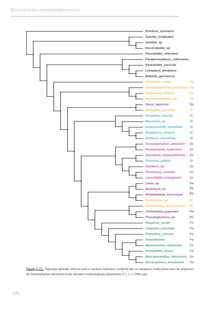 PhylogÃ©nie Et Evolution Du Comportement Social Chez Les Blattes ...