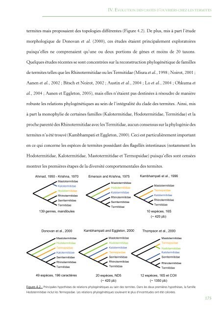 PhylogÃ©nie Et Evolution Du Comportement Social Chez Les Blattes ...